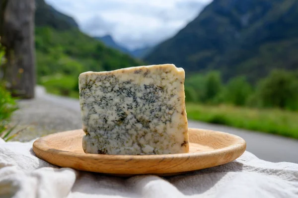 Cabrales Hantverksmässig Blå Ost Framställd Mjölkbönder Landsbygden Asturien Spanien Komjölk — Stockfoto