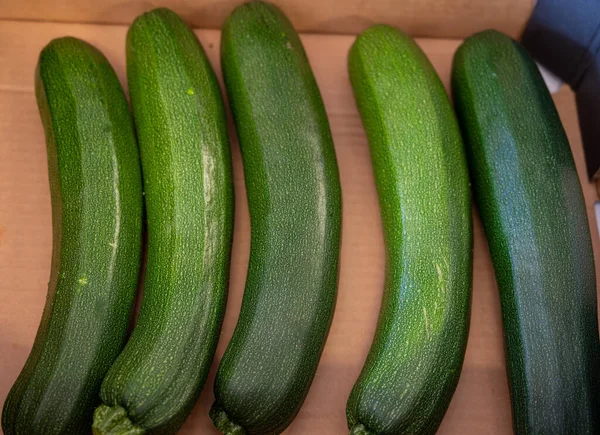 Frische Grüne Zucchini Oder Zucchini Neue Ernte Auf Biobauernhof Den — Stockfoto