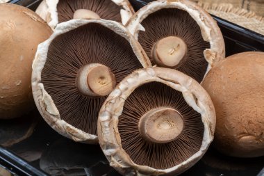 Lezzetli vejetaryen yemekleri, büyük kahverengi şampiyonlar Agaricus bisporus portobello mantarları.