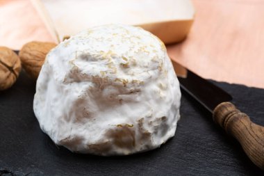 Peynir koleksiyonu, yumuşak inek Fransız peyniri küflü Gaperon zanaatkarlığı biberli ve sarımsaklı Auvergne, Fransa