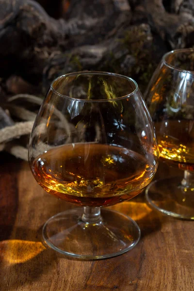 Eski Konyak Üreten Bölgelerde Fransız Konyağı Alkollü Içki Kadehlerini Tatmak — Stok fotoğraf