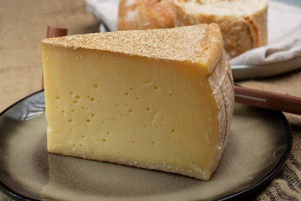 Kolekcja Serów Szwajcarskich Gruyere Cheese Niepasteryzowanego Mleka Krowiego Zbliżenie — Zdjęcie stockowe