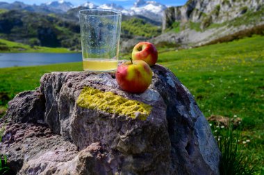 Elmalı mayalanmış elmadan yapılmış doğal Asturian şarabı. Covadonga Gölü manzaralı. Picos de Europa dağlarının tepeleri, İspanya.