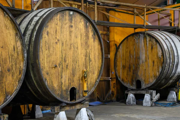 Het Maken Van Traditionele Natuurlijke Asturische Cider Gemaakt Van Gefermenteerde — Stockfoto