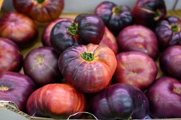 Surtido Tomates Ensalada Franceses Nueva Cosecha Tomates Grandes Herederos Mercado — Foto de Stock