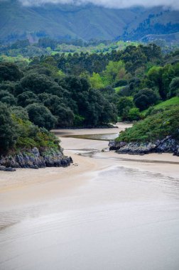 Playa de Poo 'ya bakın. Llanes yakınlarındaki gelgit sırasında, Asturias' ın yeşil kıyıları, Kuzey İspanya 'nın beyaz kumlu sahilleri, kayalıkları, gizli mağaraları, yeşil tarlaları ve dağları ile birlikte..