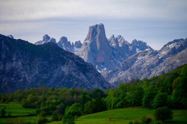 Kuzey İspanya 'nın Asturias kentindeki Picos de Europa' nın Macizo Orta Bölgesi 'nde yer alan Paleozoik Çağ' dan kalma kireçtaşı zirvesi Naranjo de Bulnes veya Picu Urriellu 'nun görüntüsü