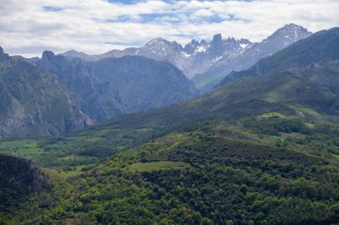 Kuzey İspanya 'nın Asturias kentindeki Picos de Europa' nın Macizo Orta Bölgesi 'nde yer alan Paleozoik Çağ' dan kalma kireçtaşı zirvesi Naranjo de Bulnes veya Picu Urriellu 'nun görüntüsü