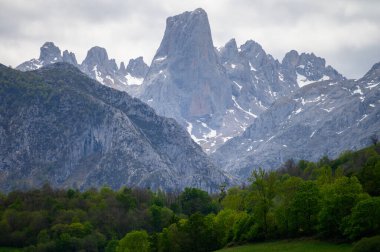 Kuzey İspanya 'nın Asturias kentindeki Picos de Europa' nın Macizo Orta Bölgesi 'nde yer alan Paleozoik Çağ' dan kalma kireçtaşı zirvesi Naranjo de Bulnes veya Picu Urriellu 'nun görüntüsü