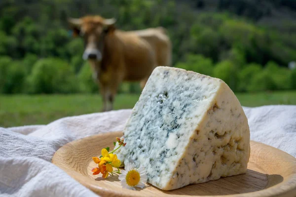 Cabrales Artisan Blue Cheese Made Rural Dilk Farmers Asturias Ισπανία — Φωτογραφία Αρχείου
