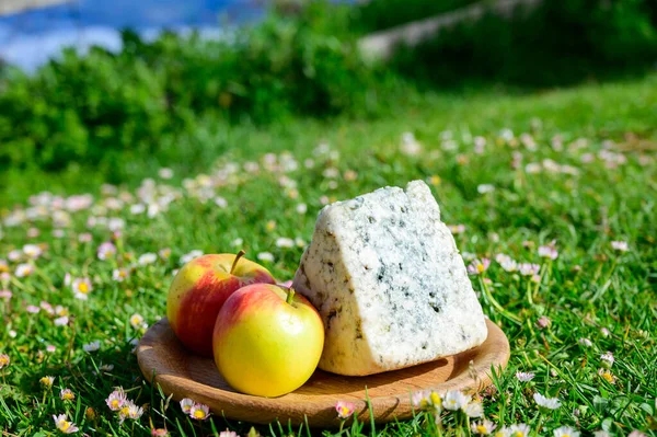 스페인 아스투리아스의 낙농업 자들이 치즈인 카프랄 치즈는 살균을 젖소의 염소나 — 스톡 사진
