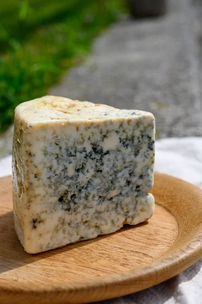 西班牙阿斯图里亚斯农村奶农用未消毒奶牛奶和山羊或羊奶小生产区Picos Europa混合制成的蓝奶酪Cabrales的味道 — 图库照片