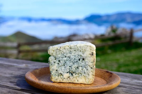 Ochutnávka Sýra Cabrales Plísňového Sýra Vyráběného Venkovskými Chovateli Mléka Asturii — Stock fotografie