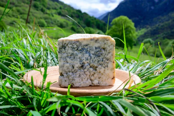 Degustacja Cabrales Sera Błękitnego Produkowanego Przez Producentów Mleka Wiejskiego Asturii — Zdjęcie stockowe