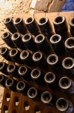 Yeraltındaki mağaralarda, ahşap raflarda şişelerle yürüyoruz. Geleneksel şampanya yapımı Chardonnay ve Epernay, Champagne, France 'da siyah üzümler.