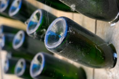 Yeraltındaki mağaralarda, ahşap raflarda şişelerle yürüyoruz. Geleneksel şampanya yapımı Chardonnay ve Epernay, Champagne, France 'da siyah üzümler.