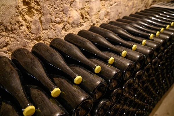 在法国香槟Epernay的地下洞穴里散步 瓶子放在木架上 传统的香槟酒是用Chardonnay和Pinor黑葡萄酒酿制的 — 图库照片