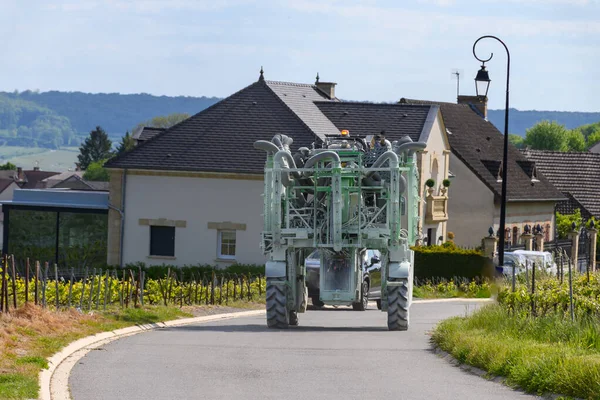 View Green Premier Cru Champagne Vineyards Marne River Village Hautvillers — Stock Photo, Image