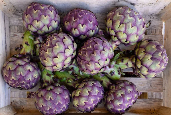 Большой Фиолетовый Глобус Овощами Фермерском Рынке Бриттани Весна Франции — стоковое фото