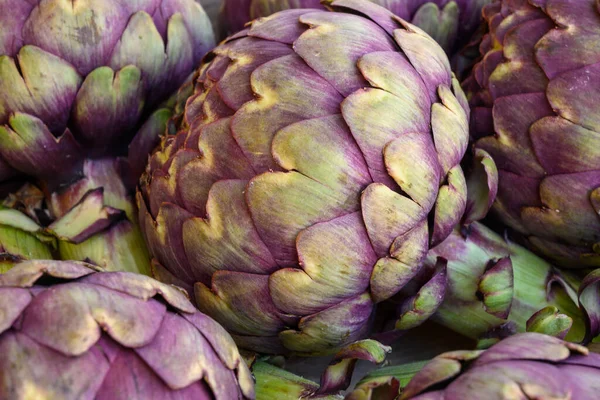 ブルターニュの農家市場で大きな紫色の世界のアーティチョークの頭の野菜 春はフランスです ストック画像