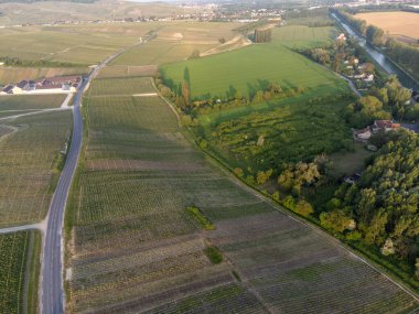 Hautvillers, Cumieres ve Marne River Valley, Champange, Fransa yakınlarındaki yeşil başbakanın panoramik hava manzaralı cru şampanya bağları ve tarlaları