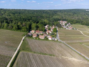 Hautvillers, Cumieres ve Marne River Valley, Champange, Fransa yakınlarındaki yeşil başbakanın panoramik hava manzaralı cru şampanya bağları ve tarlaları