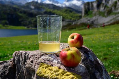 Elmalı mayalanmış elmadan yapılmış doğal Asturian şarabı. Covadonga Gölü manzaralı. Picos de Europa dağlarının tepeleri, İspanya.