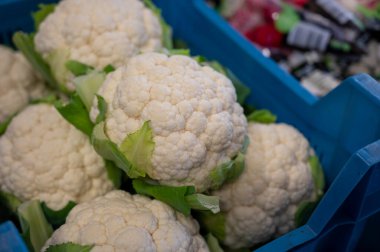 Büyük beyaz organik karnabahar, markette kutuda lahana.