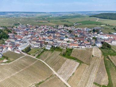 Yeşil büyük cru şampanya bağlarının panoramik hava manzarası ve Cramant köyünün evleri, Cotes des Blancs, Champange, Fransa