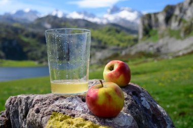 Elmalı mayalanmış elmadan yapılmış doğal Asturian şarabı. Covadonga Gölü manzaralı. Picos de Europa dağlarının tepeleri, İspanya.