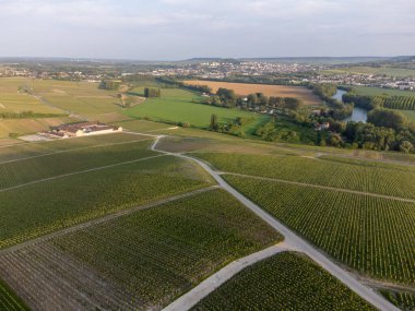 Hautvillers, Cumieres ve Marne River Valley, Champange, Fransa yakınlarındaki yeşil başbakanın panoramik hava manzaralı cru şampanya bağları ve tarlaları