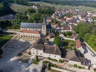 Yeşil başbakanın panoramik hava manzarası Hautvillers köyü yakınlarındaki üzüm bağlarına ve Fransa 'nın Champange kentindeki Marne Nehri vadisine bağlıdır.