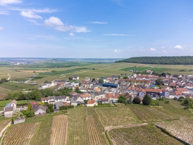 Yeşil büyük cru şampanya bağlarının panoramik hava manzarası ve Cramant köyünün evleri, Cotes des Blancs, Champange, Fransa
