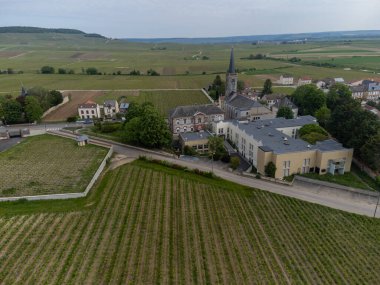 Avize ve Oger, Cotes des Blancs, Champange France köylerinin yakınlarındaki yeşil büyük cru şampanya bağlarında panoramik hava manzarası