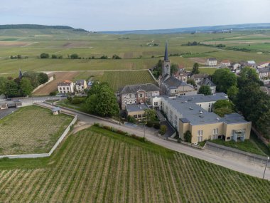 Avize ve Oger, Cotes des Blancs, Champange France köylerinin yakınlarındaki yeşil büyük cru şampanya bağlarında panoramik hava manzarası