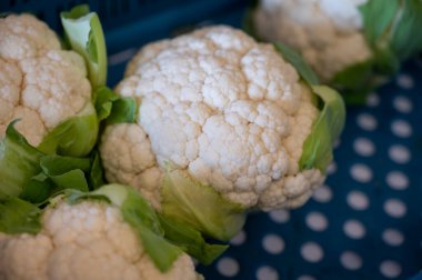 Büyük beyaz organik karnabahar, markette kutuda lahana.