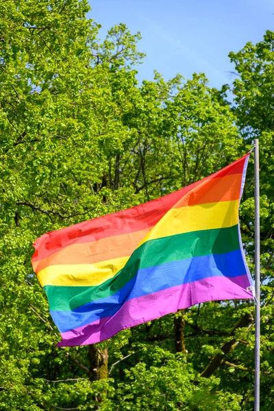 Gay Kebanggaan Warna Pelangi Bendera Dan Pohon Hijau Luar Ruangan — Stok Foto