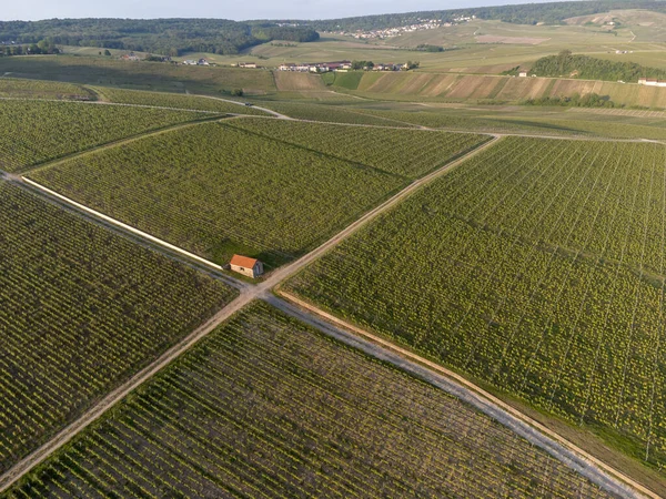 Panoramic Aerial View Green Premier Cru Champagne Vineyards Fields Village — Stock Photo, Image