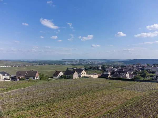 Hautvillers, Cumieres ve Marne River Valley, Champange, Fransa yakınlarındaki yeşil başbakanın panoramik hava manzaralı cru şampanya bağları ve tarlaları