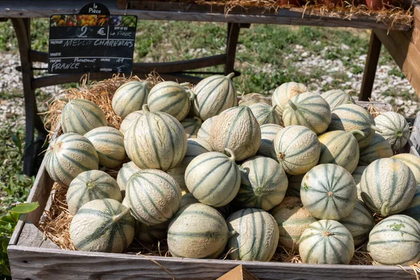 Kavun Charentais, olgunlaşmış Charentais bal kavunları Provence, Fransa 'da yerel pazarda. Kapatın.