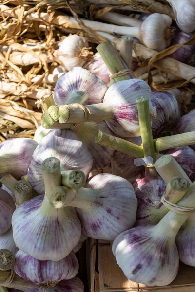法国普罗旺斯市集上出售的一批新鲜的法国紫罗兰或玫瑰大蒜 — 图库照片