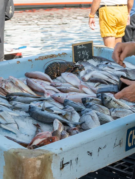 Captura Dia Para Venda Mercado Diário Peixe Antigo Porto Marselha — Fotografia de Stock