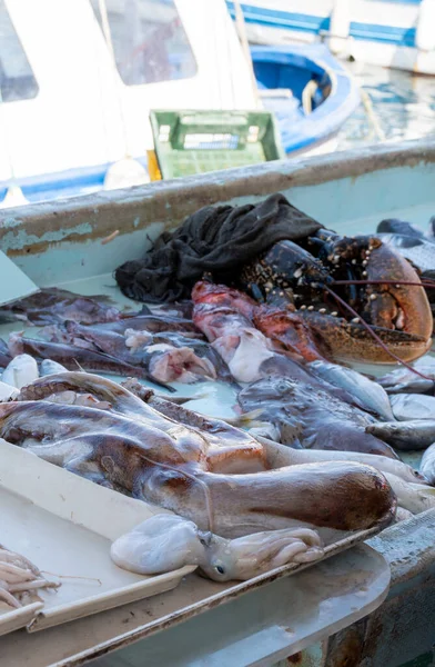 Vangst Van Dag Koop Dagelijkse Vismarkt Oude Haven Van Marseille — Stockfoto