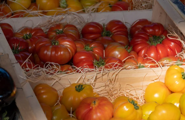 法国普罗旺斯市场上销售的法国色拉西红柿和新收获的大的传奇式西红柿 — 图库照片