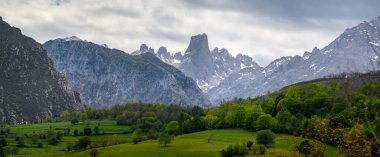 Kuzey İspanya 'nın Asturias kentindeki Picos de Europa' nın Macizo Orta Bölgesi 'nde yer alan Paleozoik Çağ' dan kalma kireçtaşı zirvesi Naranjo de Bulnes veya Picu Urriellu 'nun görüntüsü