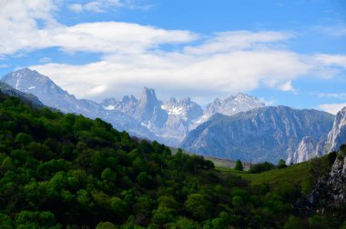 Kuzey İspanya 'nın Asturias kentindeki Picos de Europa' nın Macizo Orta Bölgesi 'nde yer alan Paleozoik Çağ' dan kalma kireçtaşı zirvesi Naranjo de Bulnes veya Picu Urriellu 'nun görüntüsü