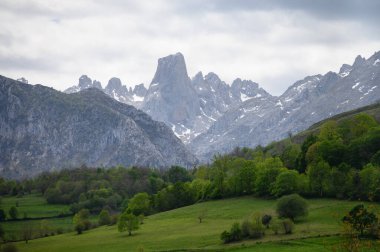 Kuzey İspanya 'nın Asturias kentindeki Picos de Europa' nın Macizo Orta Bölgesi 'nde yer alan Paleozoik Çağ' dan kalma kireçtaşı zirvesi Naranjo de Bulnes veya Picu Urriellu 'nun görüntüsü