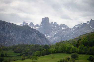 Kuzey İspanya 'nın Asturias kentindeki Picos de Europa' nın Macizo Orta Bölgesi 'nde yer alan Paleozoik Çağ' dan kalma kireçtaşı zirvesi Naranjo de Bulnes veya Picu Urriellu 'nun görüntüsü