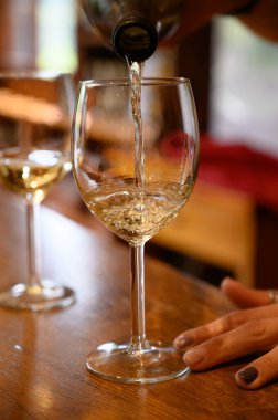 İspanyol rioja şarabının çeşitli tatları, şarap mahzenlerinin ziyareti, Rioja şarap üretim bölgesi, İspanya