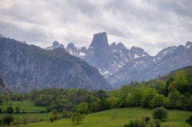 Kuzey İspanya 'nın Asturias kentindeki Picos de Europa' nın Macizo Orta Bölgesi 'nde yer alan Paleozoik Çağ' dan kalma kireçtaşı zirvesi Naranjo de Bulnes veya Picu Urriellu 'nun görüntüsü